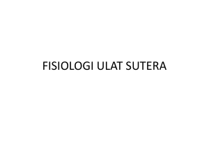 FISIOLOGI_ULAT_SUTERA