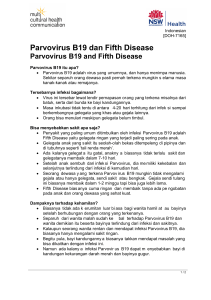 Parvovirus B19 and Fifth Disease (Indonesian)
