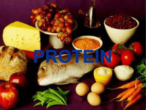 Protein - belongstoj2000
