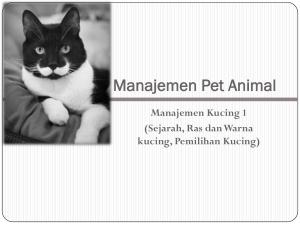 Man-Pet_Kucing 1