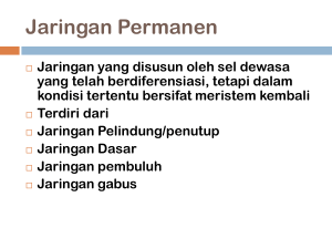 Jaringan Permanen - Jamilah Nasution, S.Pd.,M.Si.