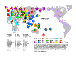 Y Haplogroups of the World H O I P J Q K RxR1 E3b L R1a F M R1b