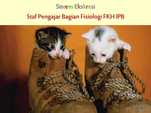 Sistem Ekskresi Staf Pengajar Bagian Fisiologi FKH IPB