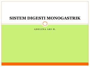 adelina ari h. sistem digesti monogastrik