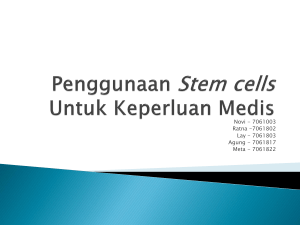 Penggunaan Stem cell Untuk Keperluan Medis