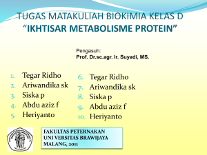 metabolisme protein asam amino - Prof.Dr.sc.agr.Ir. Suyadi, MS