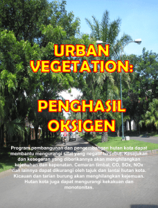 vegetasi kota – penghasil oksigen