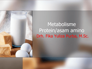 Metabolisme_Protein