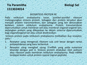 Tia Paramitha Biologi Sel 1513024014