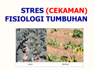 (cekaman) fisiologi tumbuhan stres