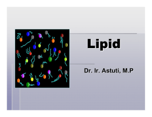 1. Lipid