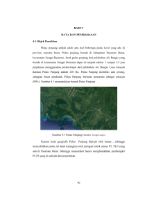 BAB IV DATA DAN PEMBAHASAN 4.1 Objek Penelitian Pulau