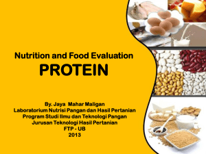 Food and Nutrition Evaluation PROTEIN