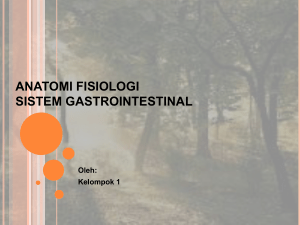 anatomi fisiologi sistem gastrointestinal