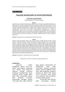 phaleria macrocarpa as antihypertension
