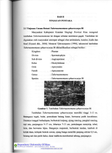 BAB II TINJAUAN PUSTAKA 2.1 Tinjauan Umum Botani