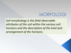 Soil morphology is the field observable attributes of the soil within