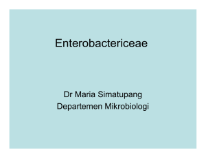 Enterobactericeae