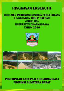 Ringkasan Eksekutif - Kabupaten Dharmasraya