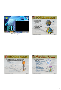 Virologi dasar Klasifikasi dan morfologi Reproduksi (replikasi) virus