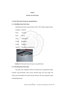 6 BAB II TINJAUAN PUSTAKA 2.1 Ikan Patin Siam (Pangasius