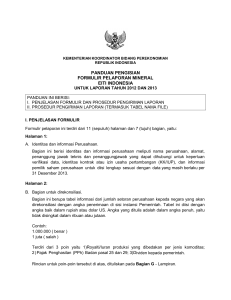 panduan pengisian formulir pelaporan mineral eiti indonesia