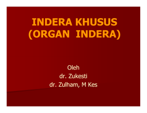 indera khusus (organ indera)