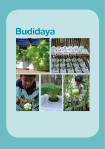 Budidaya - Siap Belajar