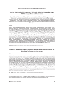Deteksi Natrium/Iodide Symporter (NIS) pada Galur