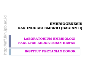 06. Embriogenesis dan Induksi Embrio