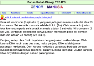 Bahan Kuliah Biologi TPB IPB: Satu set kromosom (haploid = n
