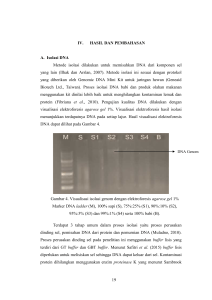 19 IV. HASIL DAN PEMBAHASAN A. Isolasi DNA Metode isolasi