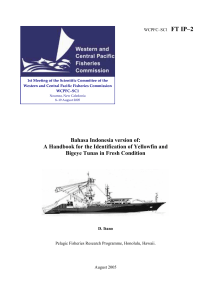 A Handbook for the Identification of Yellowfin and Bigeye Tunas in