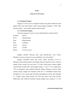 Centella asiatica - Universitas Sumatera Utara