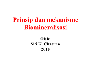 Prinsip dan mekanisme Biomineralisasi