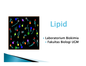 lipid defisiensi s2