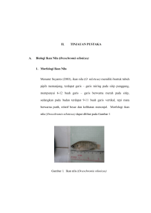 II. TINJAUAN PUSTAKA A. Biologi Ikan Nila (Oreochromis niloticus
