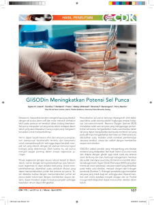 2010 GliSODin Meningkatkan Potensi Sel Punca. CDK 2010