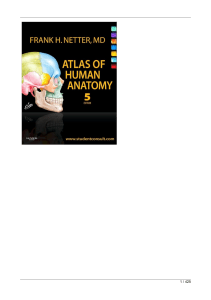 Atlas of Human Anatomy by Netter