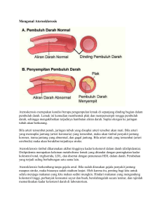 Aterosklerosis jantung