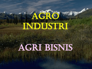 NDS AGROINDUSTRIBW