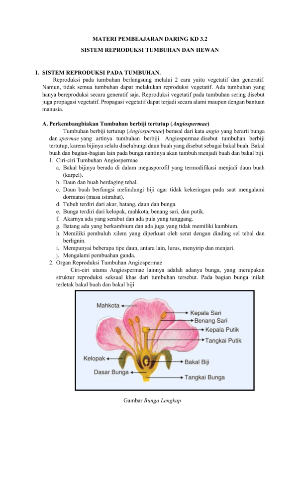 Reproduksi Tumbuhan Dan Hewan