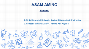 Asam Amino 