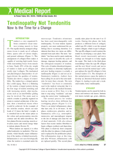 Tendinopathy Not Tendonitis  Now Is the Time for a.10