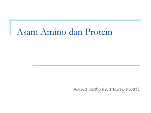 Asam-Amino-dan-Protein.ppt-Biokimia-2009