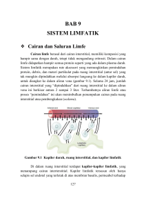 BAB 9 Sistem Limfatik