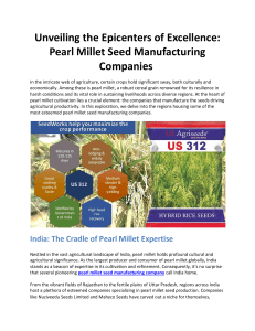 Unveiling the Epicenters of Excellence: Pearl Millet Seed Manufacturing Companies