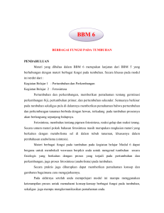 BBM 6 - File UPI