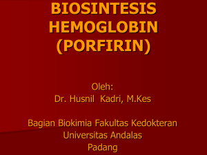 biosintesis hemoglobin (porfirin)