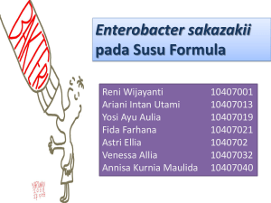 Enterobacter sakazakii pada Susu Formula